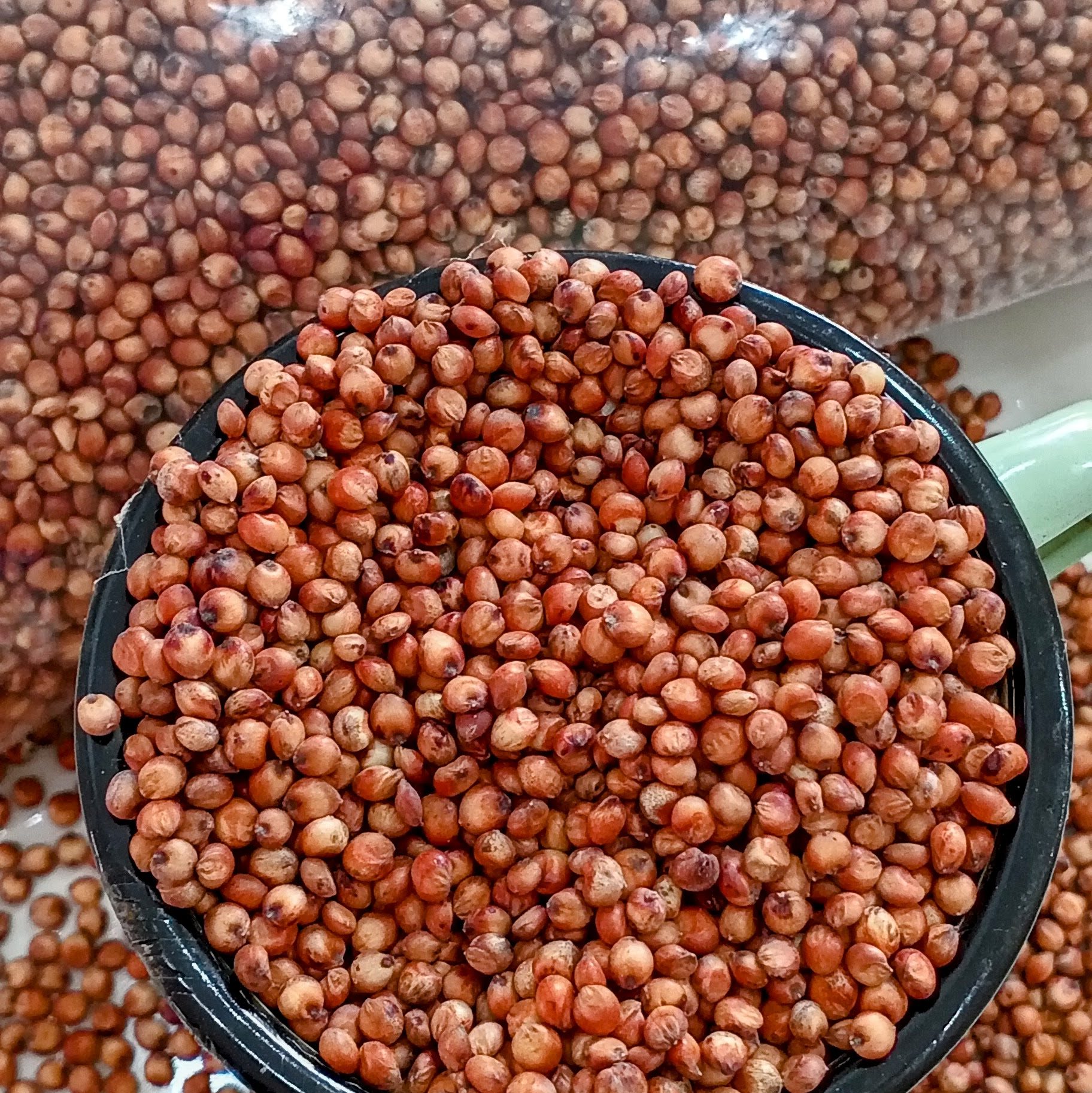 Wholegrain red sorghum